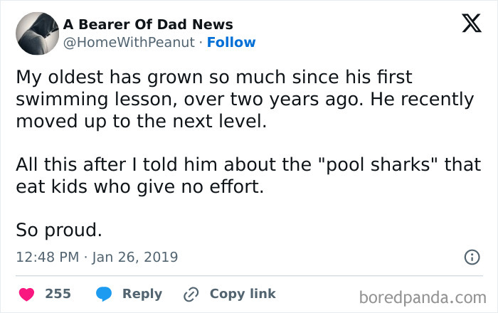 Swimming-Pools-Tweets