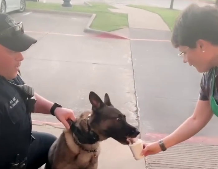 Police Dog Retires After Nearly A Decade Of Service, Heartwarming Video Is Spreading Online Police Dog Retires After Nearly A Decade Of Service, Heartwarming Video Is Spreading Online