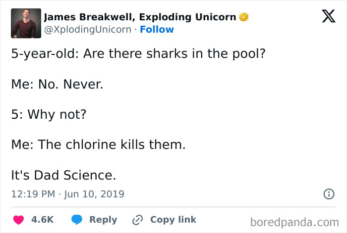 Swimming-Pools-Tweets