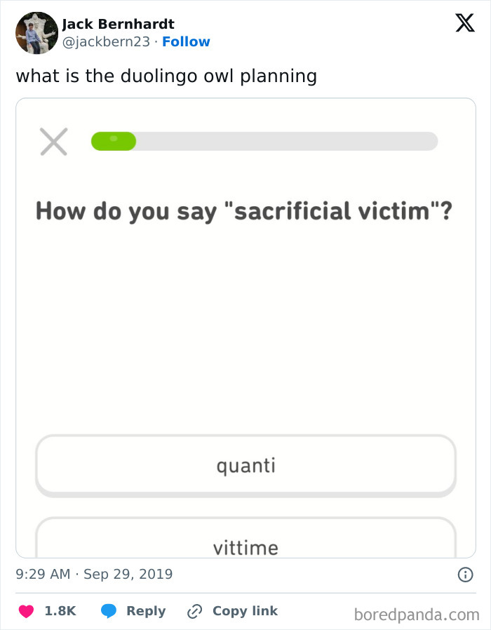 Duolingo meme: humorous question about translating "sacrificial victim" with options "quanti" and "vittime".