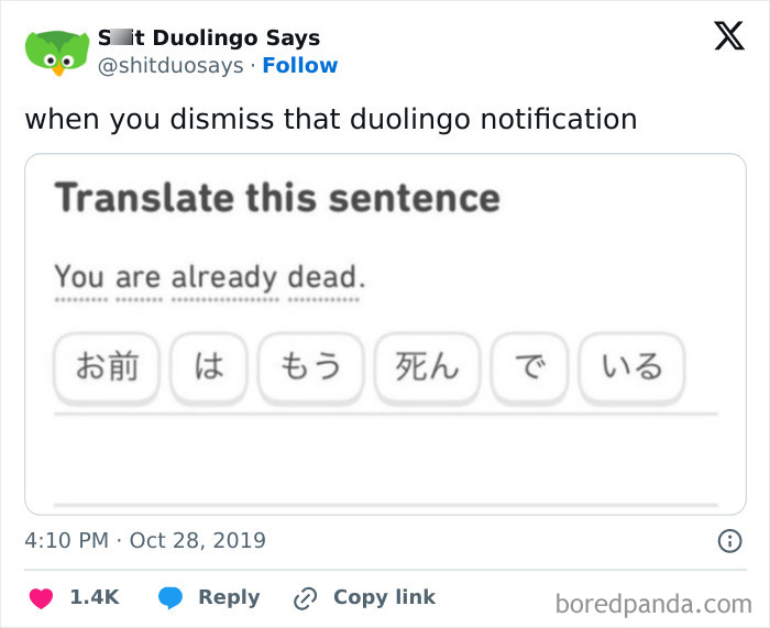 Duolingo meme showing a translation prompt with humorous threatening context.