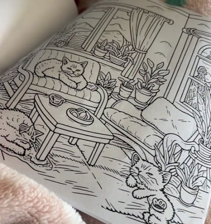 Woman Thinks She Bought A &ldquo;Normal&rdquo; Kitty Coloring Book, Starts Noticing Odd Things About It