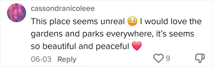 Woman Shares Her Swedish Neighborhood Shocks After Moving From The US Woman Shares Her Swedish Neighborhood Shocks After Moving From The US