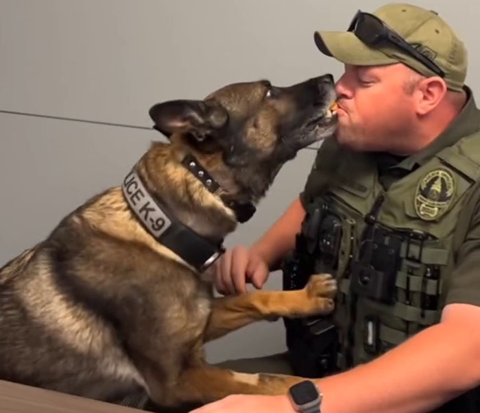 Police Dog Retires After Nearly A Decade Of Service, Heartwarming Video Is Spreading Online Police Dog Retires After Nearly A Decade Of Service, Heartwarming Video Is Spreading Online