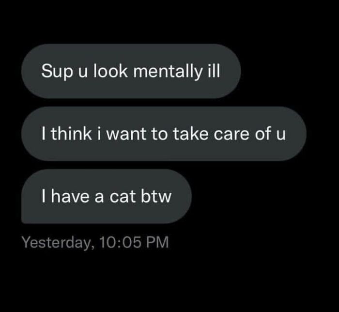 Memes-I-Could-Tag-My-Cat-In-Funny-Pics