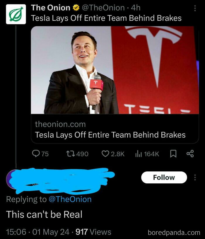 Who Needs Brakes Anyway