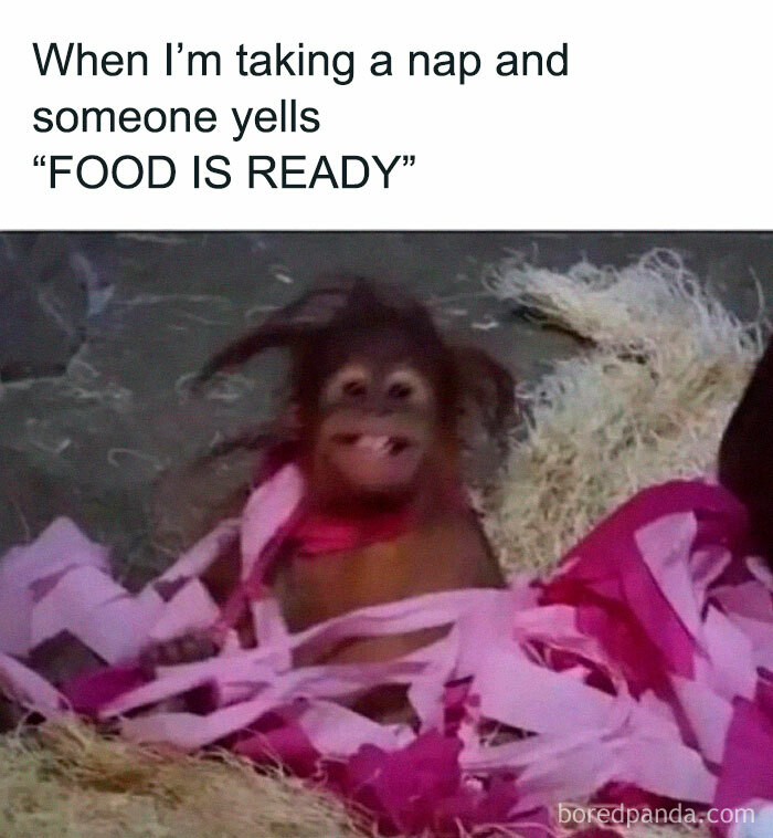 Funny-Work-Life-Memes