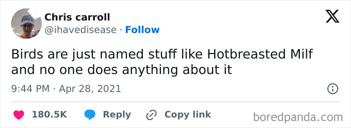 Funny meme about bird names shared on Instagram.