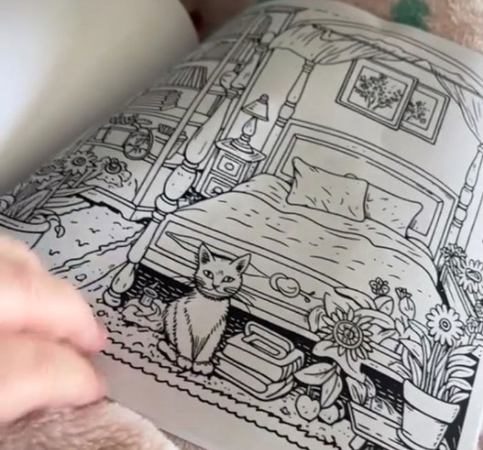 Woman Thinks She Bought A &ldquo;Normal&rdquo; Kitty Coloring Book, Starts Noticing Odd Things About It