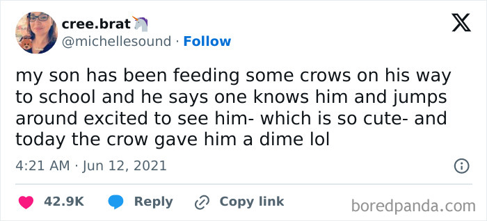 Instagram meme about a boy feeding crows, one crow recognizes him and gives him a dime.