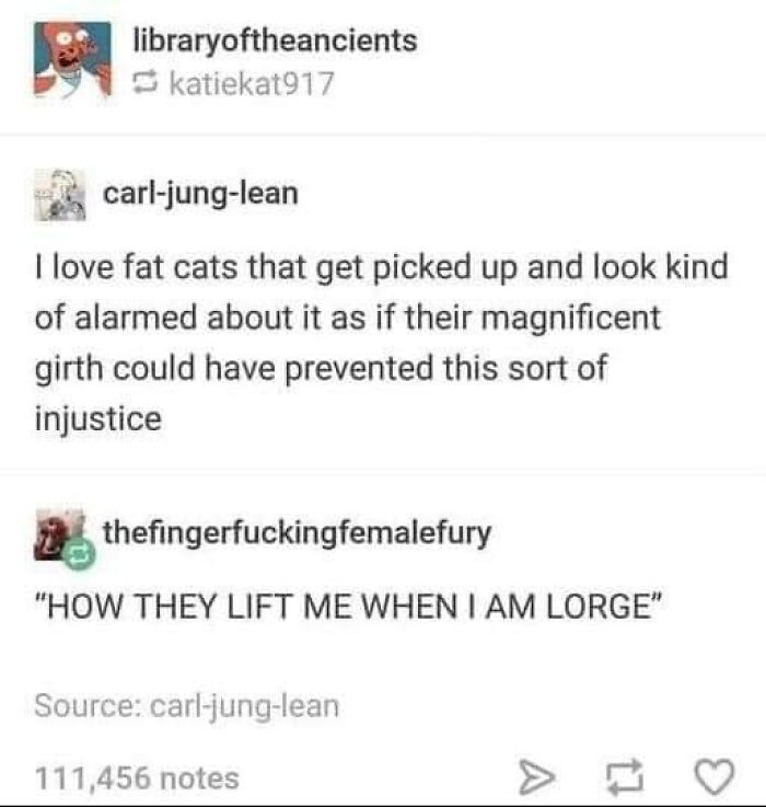 Memes-I-Could-Tag-My-Cat-In-Funny-Pics