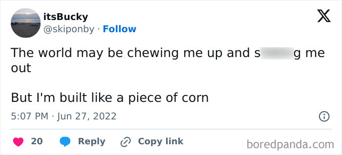 Entertaining-Funny-Random-Memes