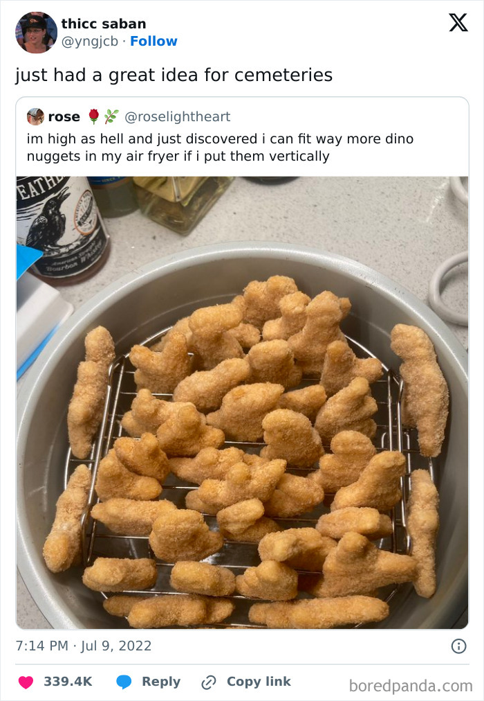 Dino nuggets stacked vertically in an air fryer, referenced in a humorous meme.