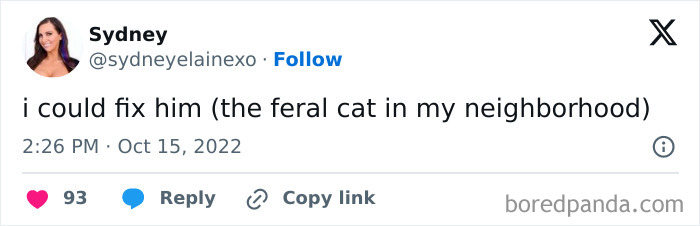 Memes-I-Could-Tag-My-Cat-In-Funny-Pics