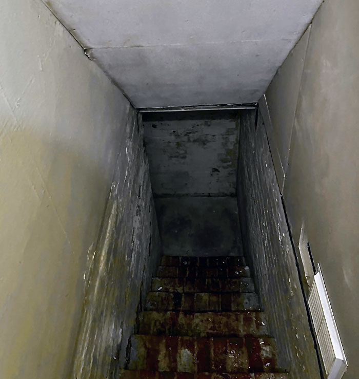 Man I Hate My Basement