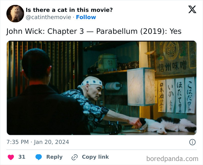 This Twitter Account Asks A Very Important Question: Is There A Cat In This Movie? (New Pics)