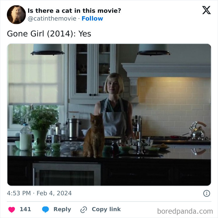 This Twitter Account Asks A Very Important Question: Is There A Cat In This Movie? (New Pics)