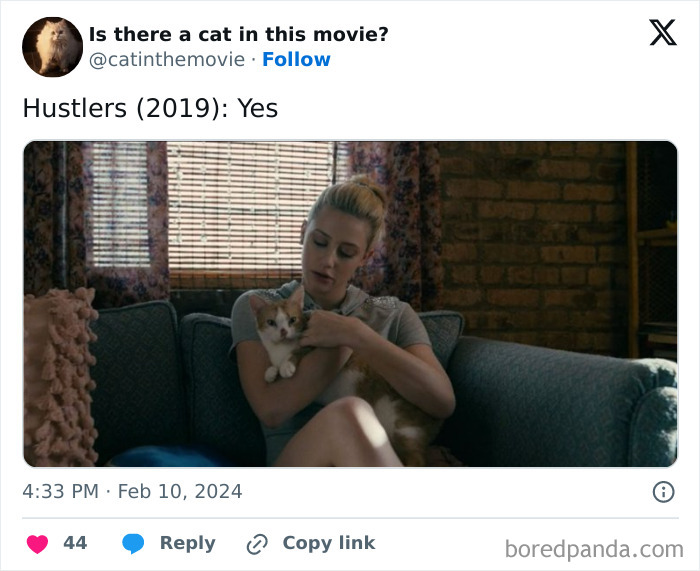 This Twitter Account Asks A Very Important Question: Is There A Cat In This Movie? (New Pics)