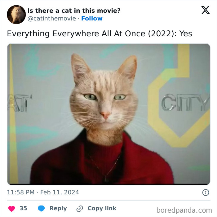 This Twitter Account Asks A Very Important Question: Is There A Cat In This Movie? (New Pics)