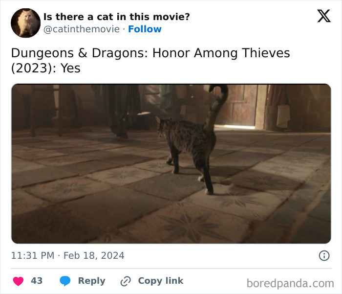 This Twitter Account Asks A Very Important Question: Is There A Cat In This Movie? (New Pics)