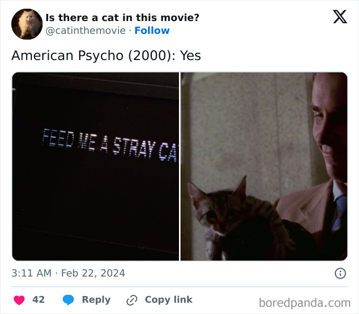 This Twitter Account Asks A Very Important Question: Is There A Cat In This Movie? (New Pics)