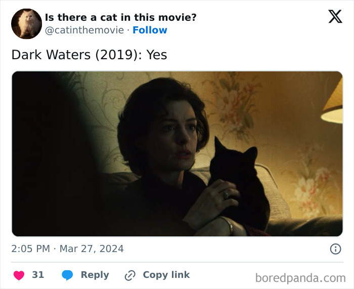 This Twitter Account Asks A Very Important Question: Is There A Cat In This Movie? (New Pics)
