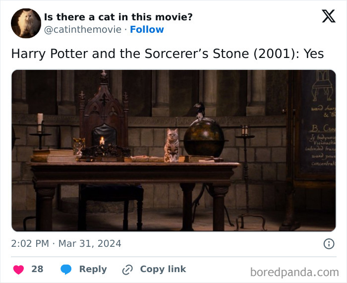 This Twitter Account Asks A Very Important Question: Is There A Cat In This Movie? (New Pics)