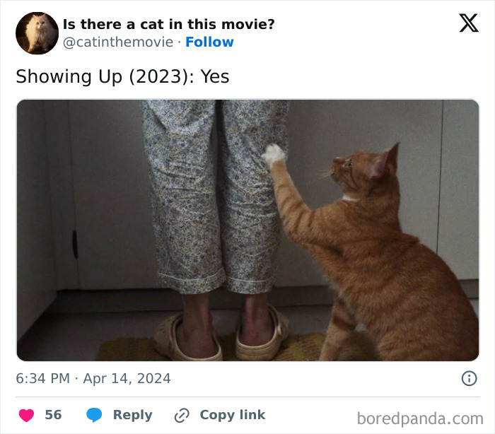 This Twitter Account Asks A Very Important Question: Is There A Cat In This Movie? (New Pics)