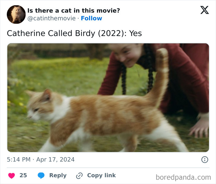 This Twitter Account Asks A Very Important Question: Is There A Cat In This Movie? (New Pics)
