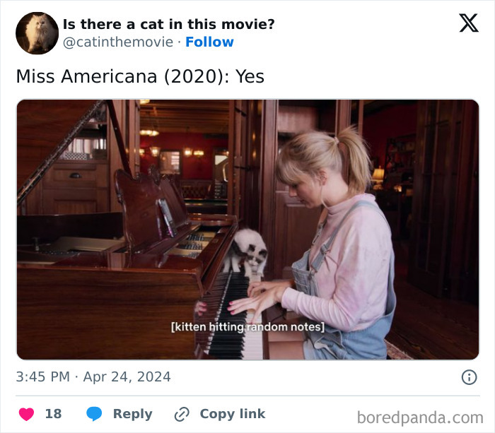 This Twitter Account Asks A Very Important Question: Is There A Cat In This Movie? (New Pics)