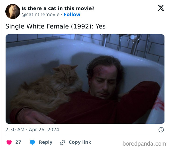 This Twitter Account Asks A Very Important Question: Is There A Cat In This Movie? (New Pics)