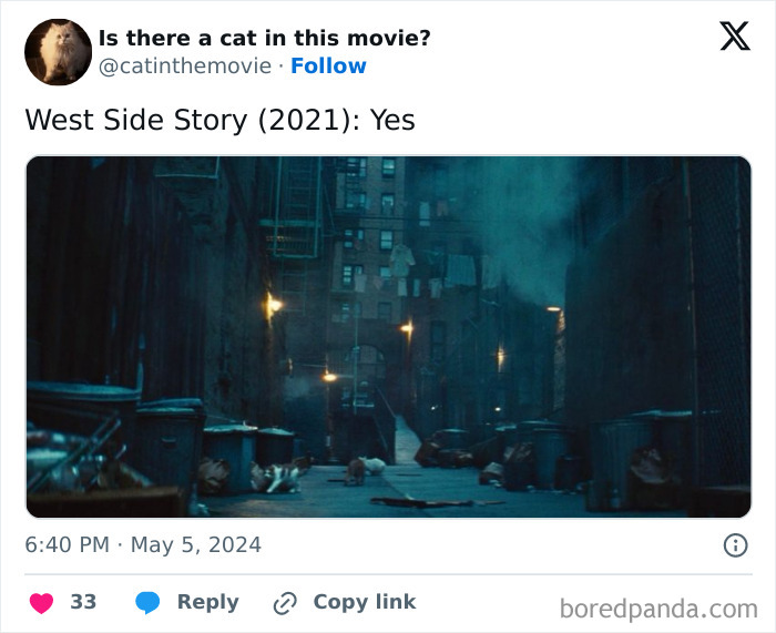This Twitter Account Asks A Very Important Question: Is There A Cat In This Movie? (New Pics)