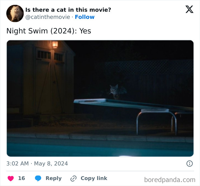 This Twitter Account Asks A Very Important Question: Is There A Cat In This Movie? (New Pics)