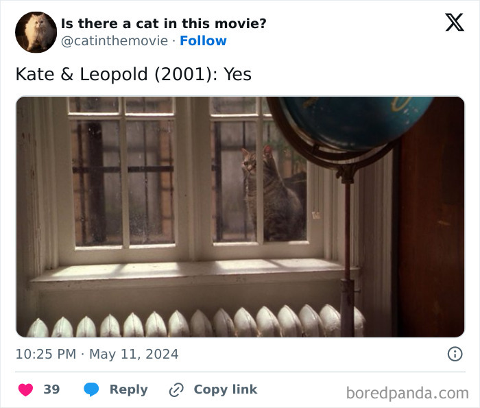 This Twitter Account Asks A Very Important Question: Is There A Cat In This Movie? (New Pics)