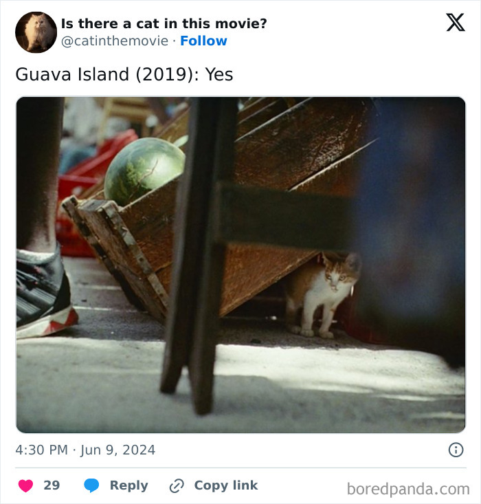 This Twitter Account Asks A Very Important Question: Is There A Cat In This Movie? (New Pics)