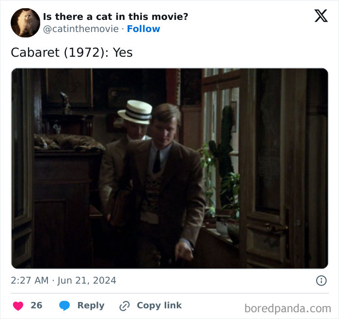 This Twitter Account Asks A Very Important Question: Is There A Cat In This Movie? (New Pics)