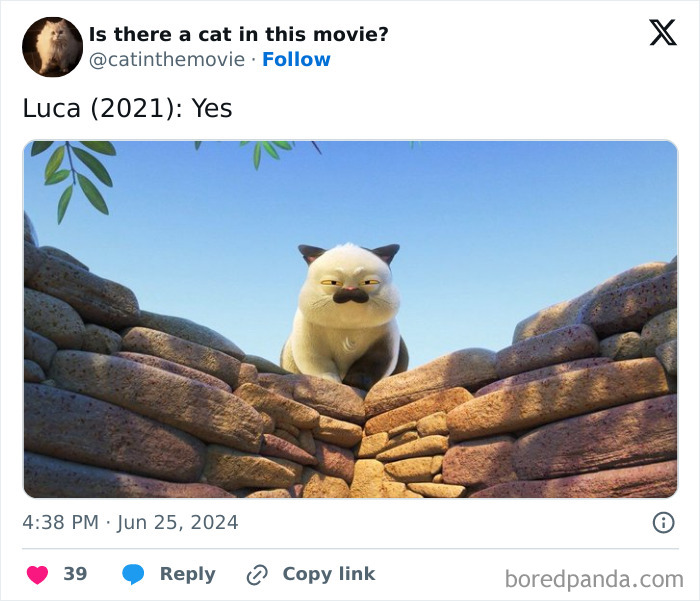 This Twitter Account Asks A Very Important Question: Is There A Cat In This Movie? (New Pics)