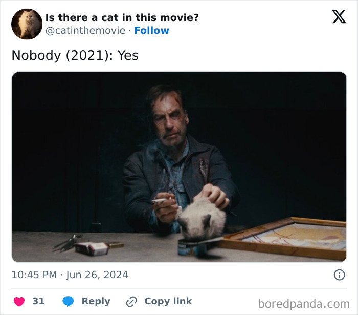 This Twitter Account Asks A Very Important Question: Is There A Cat In This Movie? (New Pics)