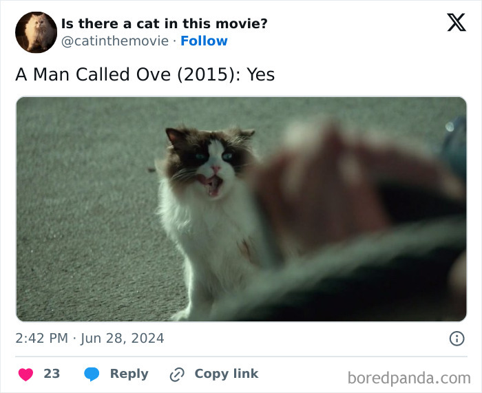 This Twitter Account Asks A Very Important Question: Is There A Cat In This Movie? (New Pics)
