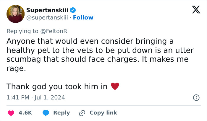 Vet Applauded For Response After Owner Brings In Seven-Week-Old Puppy To Be Put Down Vet Applauded For Response After Owner Brings In Seven-Week-Old Puppy To Be Put Down