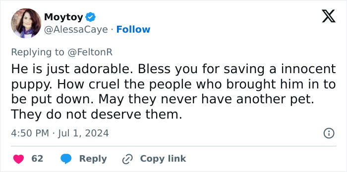 Vet Applauded For Response After Owner Brings In Seven-Week-Old Puppy To Be Put Down Vet Applauded For Response After Owner Brings In Seven-Week-Old Puppy To Be Put Down