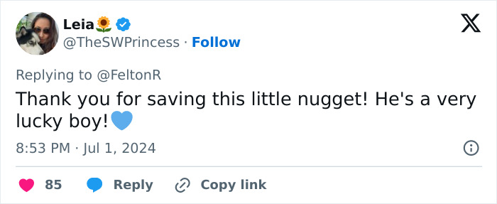 Vet Applauded For Response After Owner Brings In Seven-Week-Old Puppy To Be Put Down Vet Applauded For Response After Owner Brings In Seven-Week-Old Puppy To Be Put Down