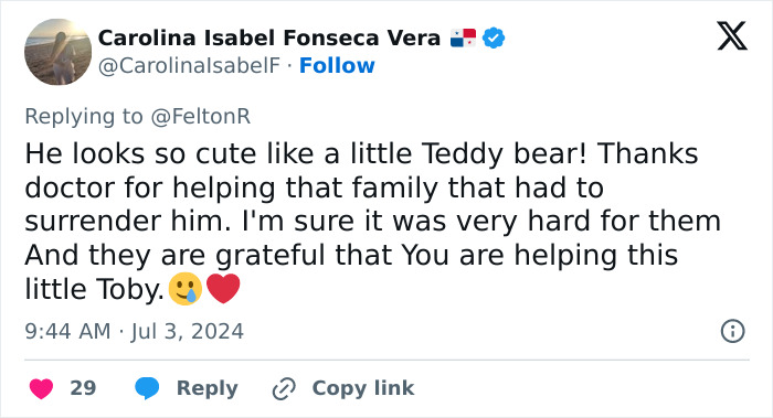 Vet Applauded For Response After Owner Brings In Seven-Week-Old Puppy To Be Put Down Vet Applauded For Response After Owner Brings In Seven-Week-Old Puppy To Be Put Down