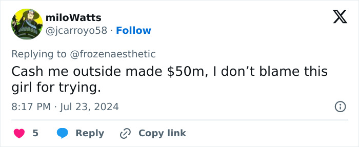 Tweet by miloWatts commenting on Hailey Welch's "Hawk Tuah Girl" concert appearance, referencing a viral internet phrase.