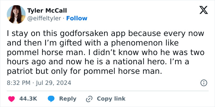 Steve-Pommel-Horse-Guy-Memes