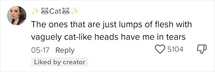 Woman Thinks She Bought A &ldquo;Normal&rdquo; Kitty Coloring Book, Starts Noticing Odd Things About It