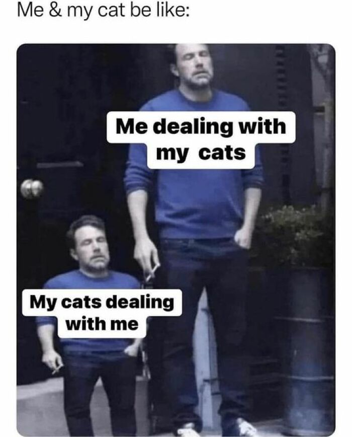 Funny-Work-Life-Memes