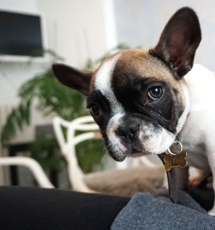 22 Personas comparten aquello que jamás volverán a probar en sus vidas