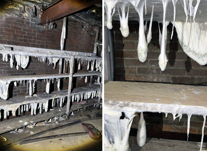 Found This Is An Abandoned Building In The Basement, It Has To Be Mold