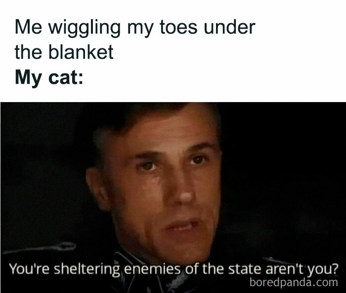 Funny-Work-Life-Memes